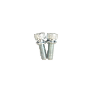 Ridgid 75267 Package of 2 Screws