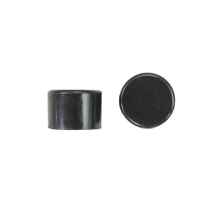 Ridgid 60422 Package of 2 CaplugS