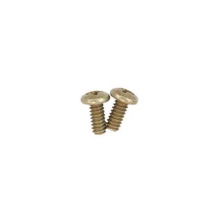Ridgid 60637 Pack of  2 Self Tapping Screw