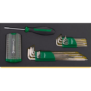 Stahlwille 96838768 TCS 1201/4000/10766/38 Offset screwdrivers in TCS inlay