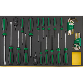 Stahlwille 96831196 Screwdriver set in TCS Inlay