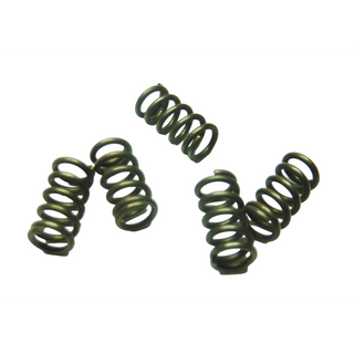 Ridgid 39920 Package of 5 Springs