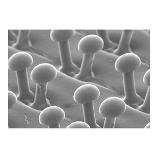 3M Disc Pad Holder 947TH, 20279, 7 in x 1 in x 5/8 in-11 Internal BlackT Hook