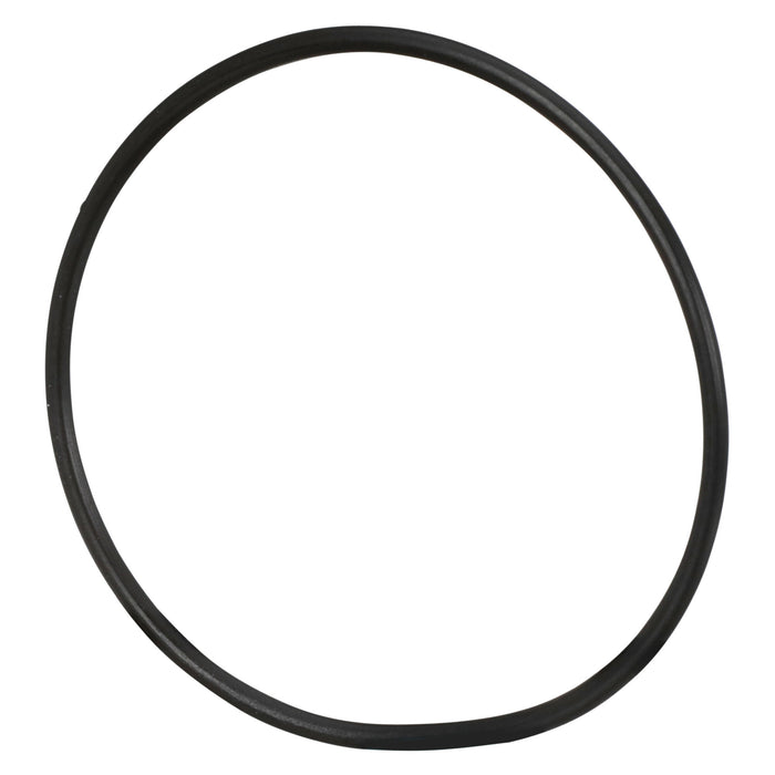 3M O-Ring, 24.0 x 1.0 55176