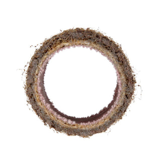 Standard Abrasives Surface Conditioning Band 727086, 1 in x 1 in CRS