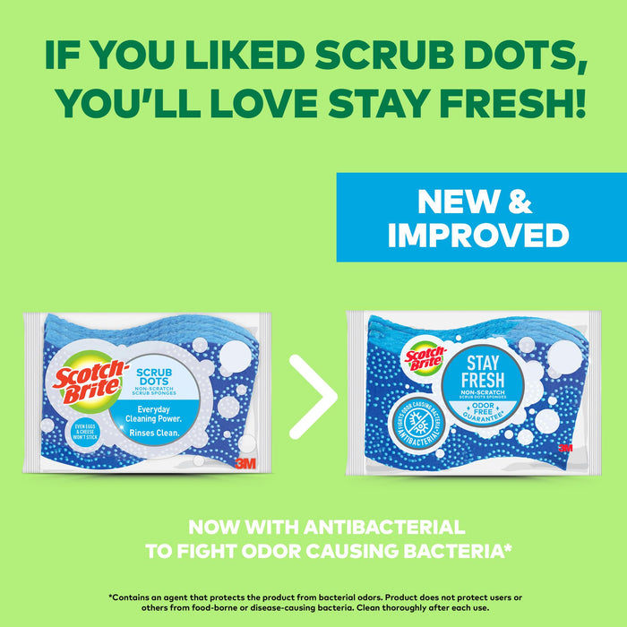 Scotch-Brite® Stay Fresh Non-Scratch Scrub Dots Sponge 20304-9