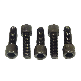 Ridgid 46750 Package of 5 Screws