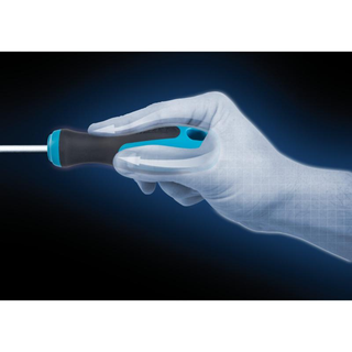 Hazet 810-PZ2 Screwdriver, Pozidriv, PZ2