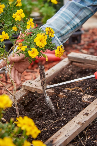 Corona CT 3344 ComfortGEL® Hoe/Cultivator Premium Stainless Steel