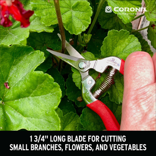 CORONA-AG 4930SS · Long Straight Snips - Stainless Steel, 1¾ Inch