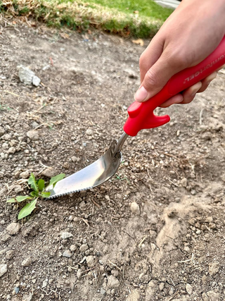 Corona CT 3254 ComfortGEL® Weeder Stainless Steel