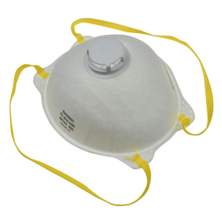 Radians RADN95V RADN95 Particulate Respirator with Arctic Valve® - Box of 10