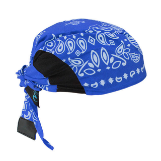 Radians Arctic Radwear® Head Shade