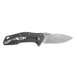 Kershaw 1881 Eris