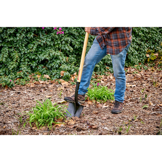 Corona SS 26000 Round Point Shovel, 15-Gauge, 12. in Head, 48 in. Wood Handle