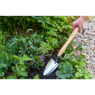 Corona GTH/SHTMHRHS Mid-Handled Stainless Steel Trowel, Wood Grip, RHS Endorsed