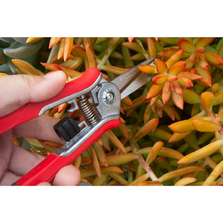 Corona FS43623  Mini Floral Snips - RED Only