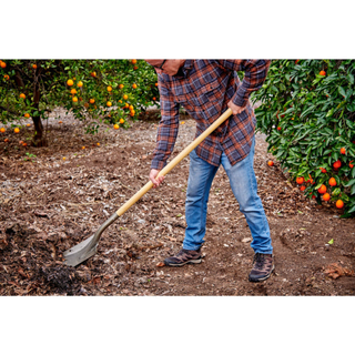 Corona SS 11000  #2 Square Point Shovel - Light Duty