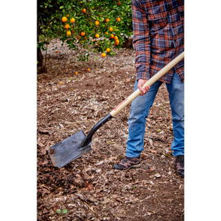 Corona SS 27000  #2 Square Point Shovel