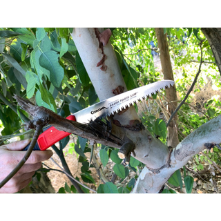 Corona RS 7041 · RazorTOOTH Saw Arborist Folding Pruning Saw - 7 Inch