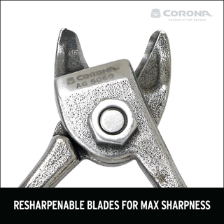 Corona AG 5060 Orange and Apple Bypass Shears