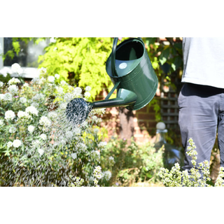 Corona GTW/W9DG  Burgon & Ball® Watering Can 9L British Racing Green