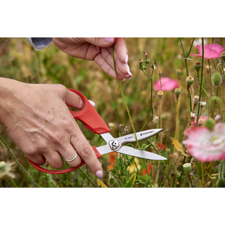 Corona SP10003 Flower, Branch & Stem 3-Pc. Set