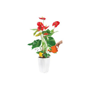 Velleman DTPP04D Display With 4 Types Of Dry Soil Alarms - 20 Pcs