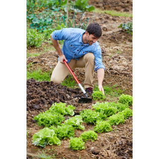 Corona SH 60060 · Garden Hoe - 6 Inch