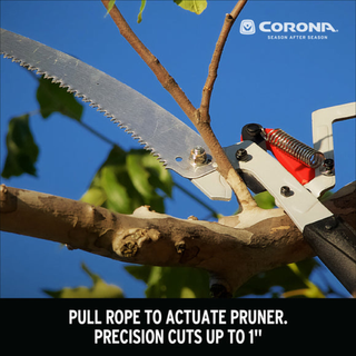 Corona TP 4214 DualLink Tree Saw and Pruner- 14 ft