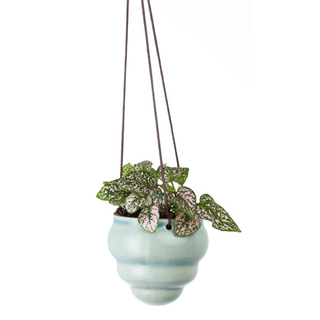 Corona GIG/HBOMTRIO  Burgon & Ball® Baby Bombini Trio Vases