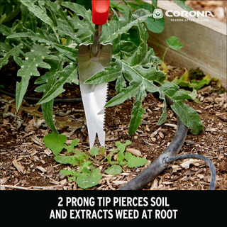 Corona CT 3354 ComfortGEL Weeder Premium Stainless Steel