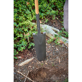 Corona SS 62000 Closed-Back, Drain Spade Shovel, 14-Gauge, 12 in. Head, 48 in. Wood Handle