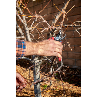 CORONA-BP 4180 · Ergonomic Bypass Pruner - 5/8 Inch