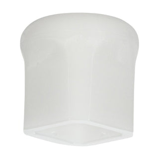 Picard 0000120-0500 Nylon Caps for Riveting Hammer, 500g