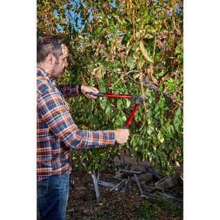 Corona AL 8350  ClassicCUT® Bypass Lopper - 20 Inch