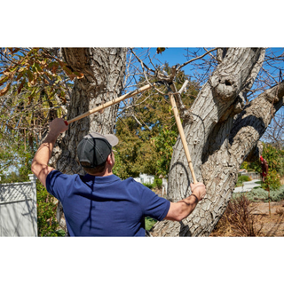 Corona WL 6470  ClassicCUT® Bypass Lopper - 36 Inch