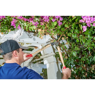 Corona WL 6310 Hickory Handle ClassicCUT Bypass Vine Lopper, 20 in., 1-1/4 in. Cut Capacity