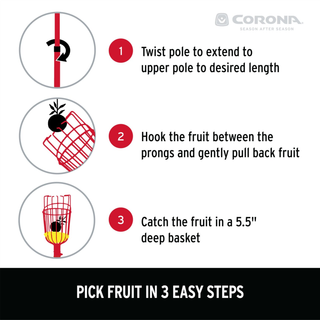 Corona FP 2312 Extendable Fruit Picker, 12 ft.