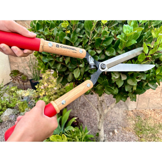 Corona HS 6960  ResharpenableBLADE Hedge Shears - 10 Inch
