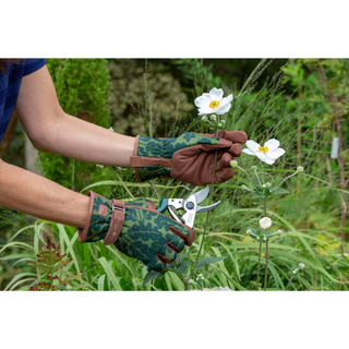Corona GLO/OAKMOSSSM Love the Glove Garden Gloves, Oak Leaf Moss, Small/Medium