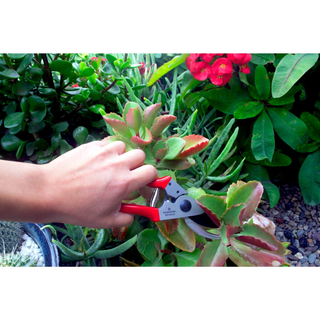 Corona BP13630 Yard Essentials Pocket Pruner