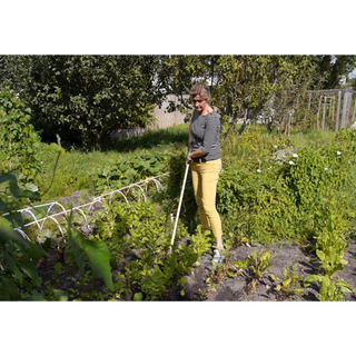 Corona GTC/SLICE Burgon & Ball® FSC Wood Weed Slice
