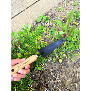 Corona CT 4050  Wooden Handle Weeder