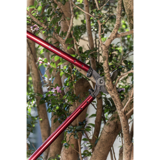 Corona AL 8462 · High-Performance Orchard Lopper - 32 Inch