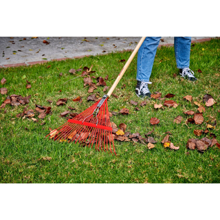 Corona RK 24003 Spring Brace Rake, 24 in. Head, 24 Tines, Hardwood Handle