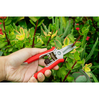 Corona FS43623  Mini Floral Snips - RED Only