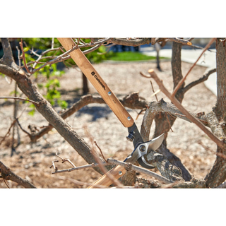 Corona WL 6450 ClassicCUT® Bypass Lopper - 32 Inch
