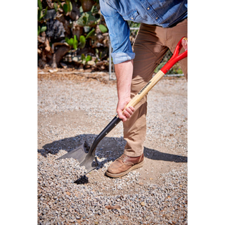 Corona SS16001 Square Point Hardwood D Grip Shovel, 14 Gauge