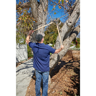 Corona WL 6470  ClassicCUT® Bypass Lopper - 36 Inch